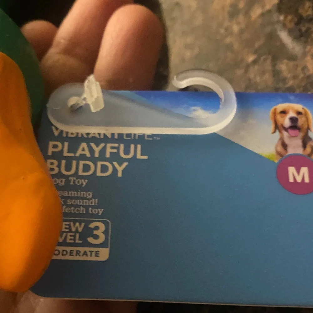 Vibrant Multicolor Duck Bird Toy